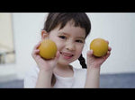 A video featuring the PlanToys plastic-free wooden petanque toy set.