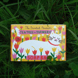 The Printed Peanut tea tree & turmeric natural handmade soap bar in a decorative cardboard packaging box. The box has been placed on grass.