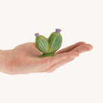 Pin cushion cactus with purple flowers on a hand