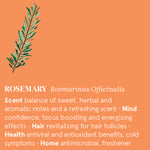 Infographic showing the main benefits of Rosemary  essential oil.
