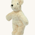 Senger Baby Bear in White on a plain background. 