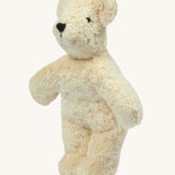 Senger Baby Bear in White on a plain background. 