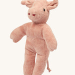 Senger baby pig stuffed animal on a plain background. 