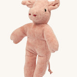 Senger baby pig stuffed animal on a plain background. 