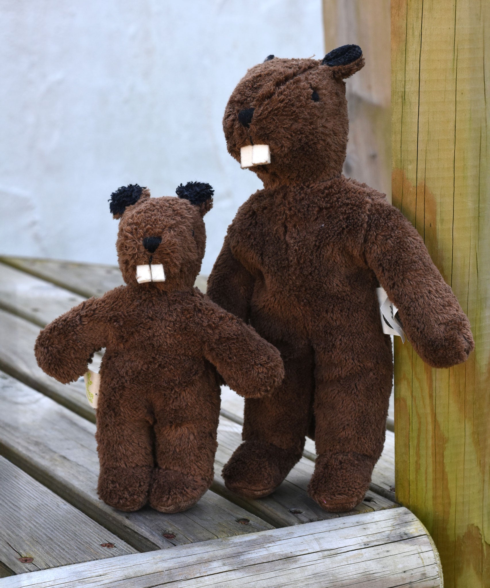 A Senger baby beaver propped up next to a small floppy baby beaver on wooden decking. 