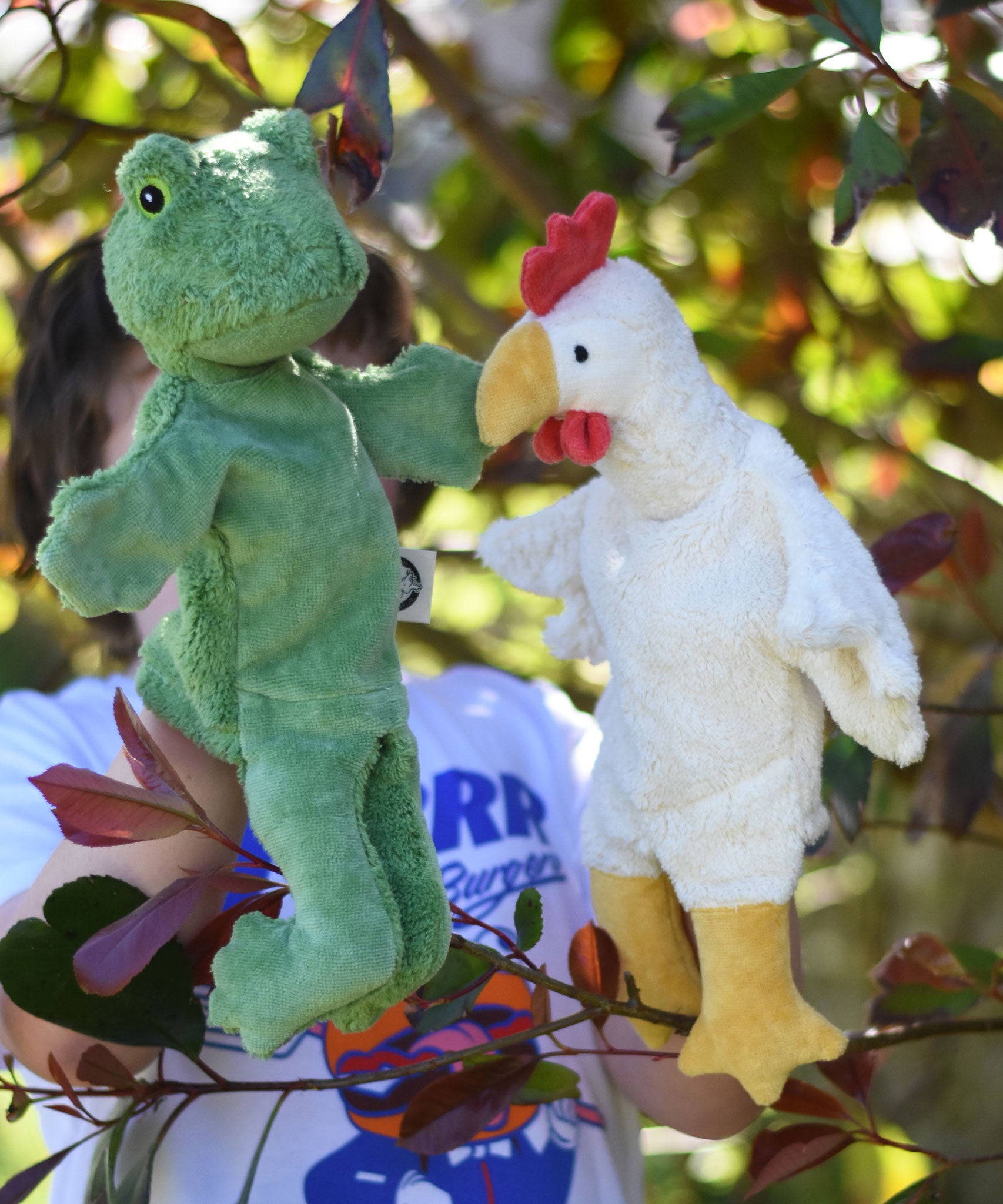 A child playing with the Senger frog and chicken puppets , one on each of their hands.