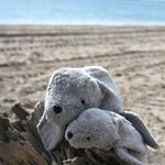 A large and small cuddly Senger grey seal placed on a trunk of driftwood on a beach, the sea can be seen in the background.