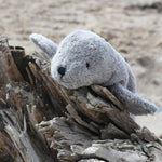A small Senger cuddly grey seal animal placed on a trunk of driftwood on a beach.
