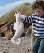 A child holding up a Senger seahorse on a beach. 