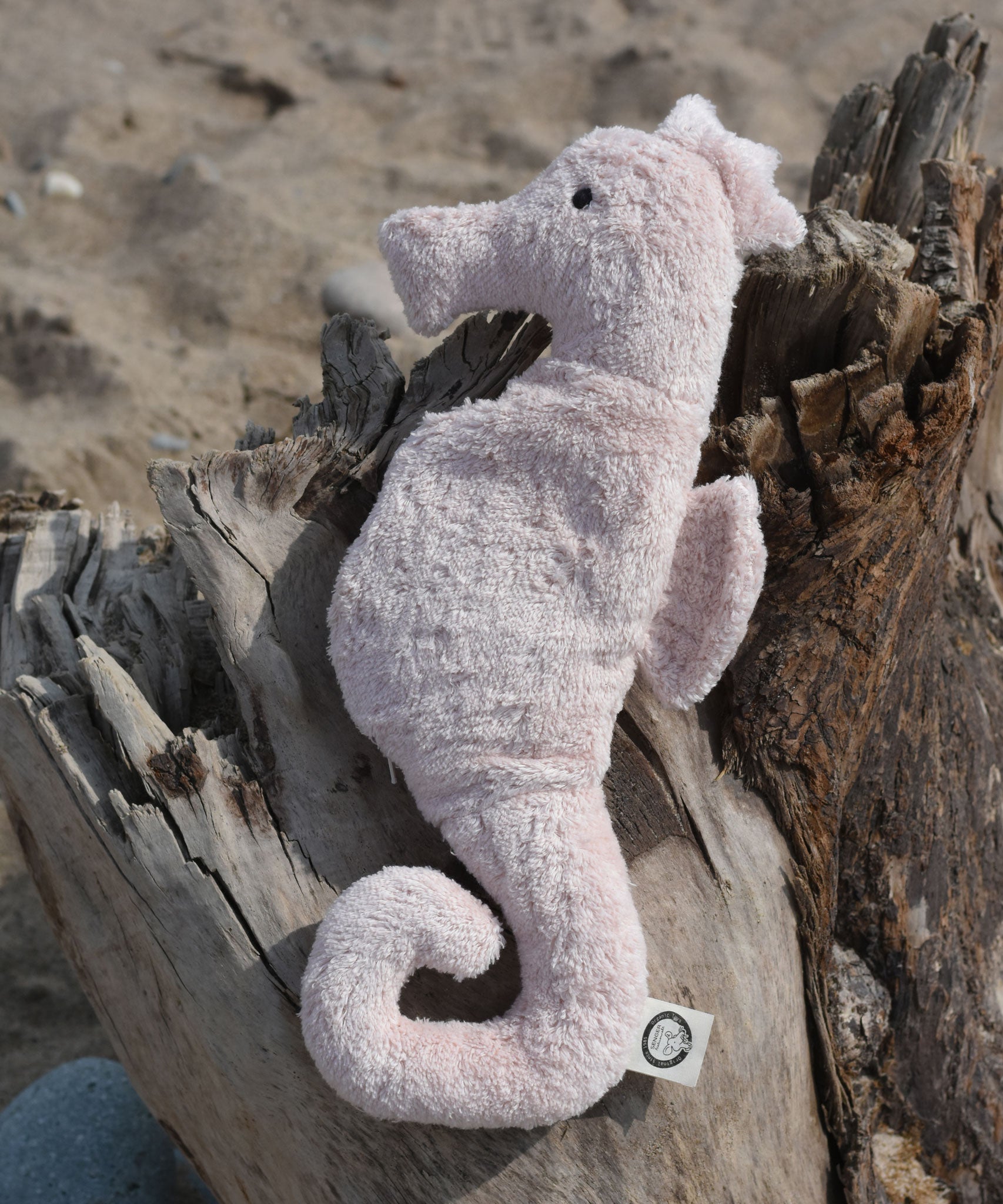 A Senger seahorse placed on a trunk of driftwood on a beach.