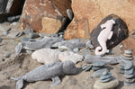 A collection of sea life themed cuddly animals from Senger placed on rocks and pebbles on a beach. 