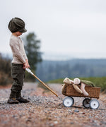 A child pulling along a wagon that has two Senger turtles in it. 