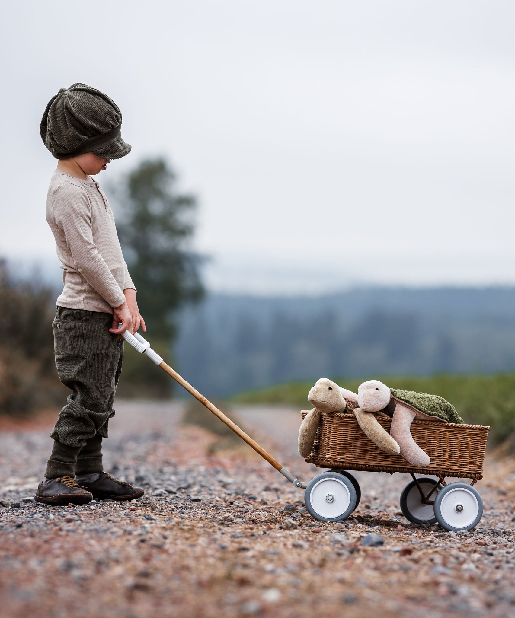 A child pulling along a wagon that has two Senger turtles in it. 