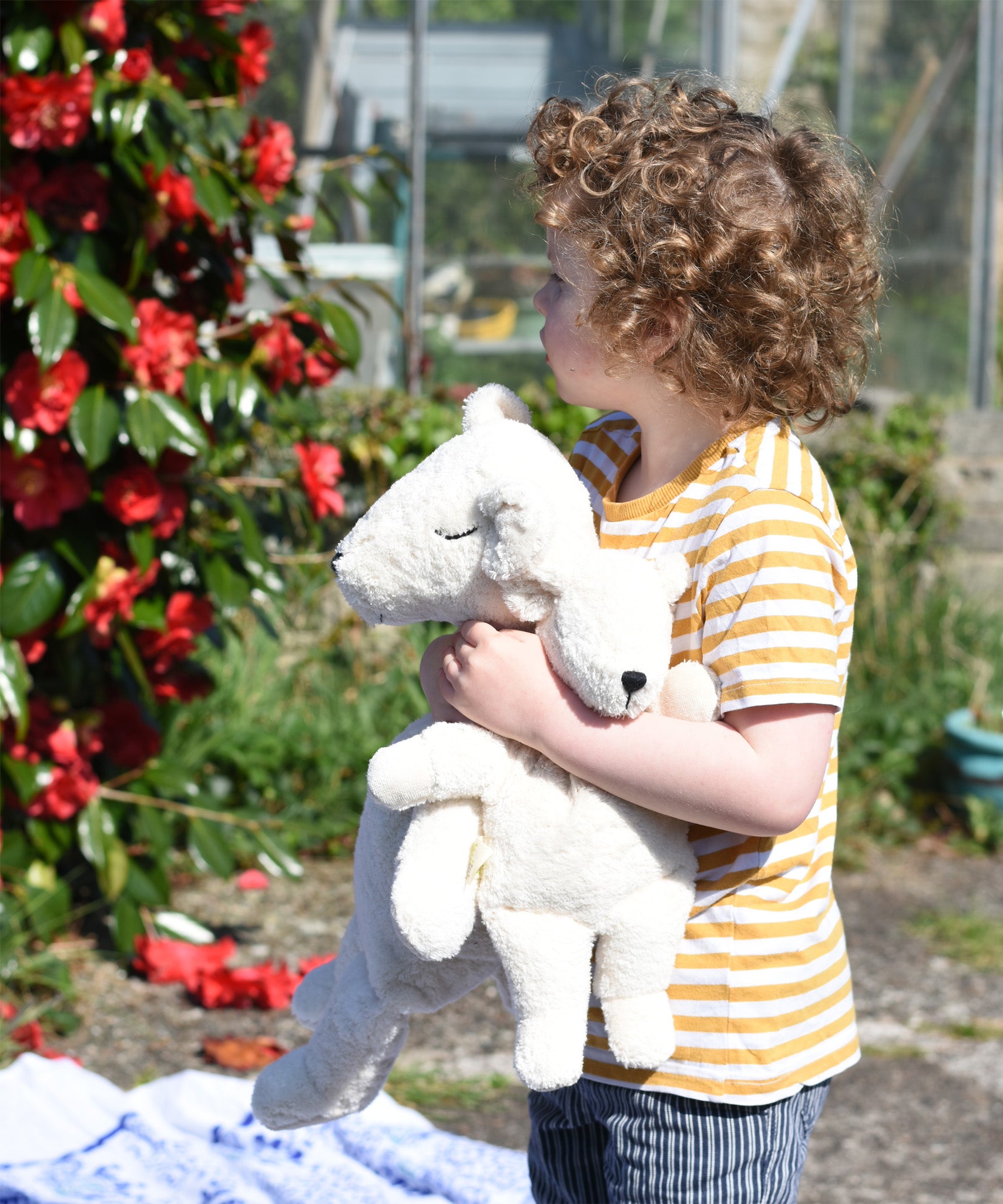 A little boy holding a mall and a large Senger organic cotton cuddly white teddy bear