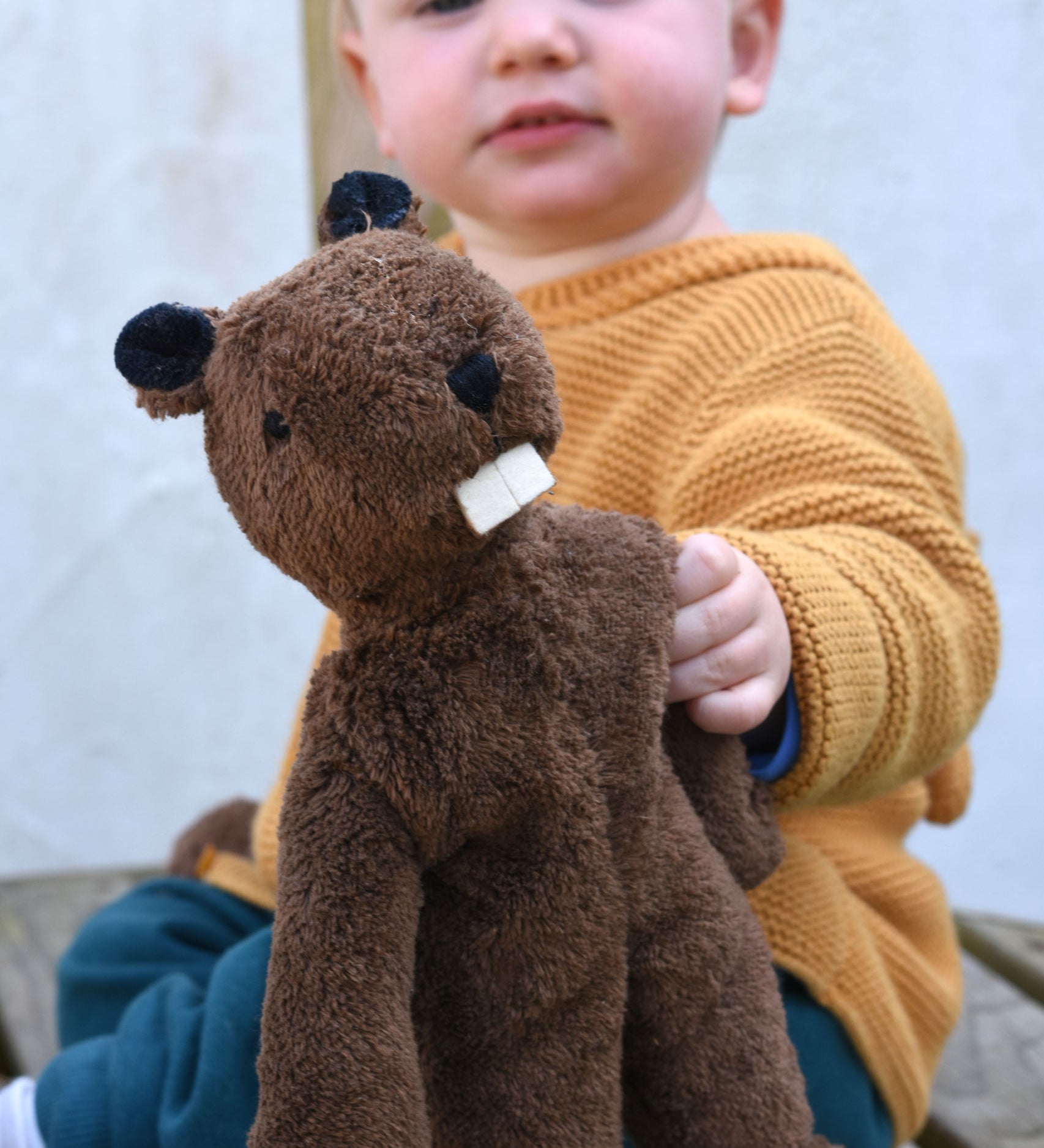 A close up of the Senger small floppy beaver, a child can be seen in the background holding it up.