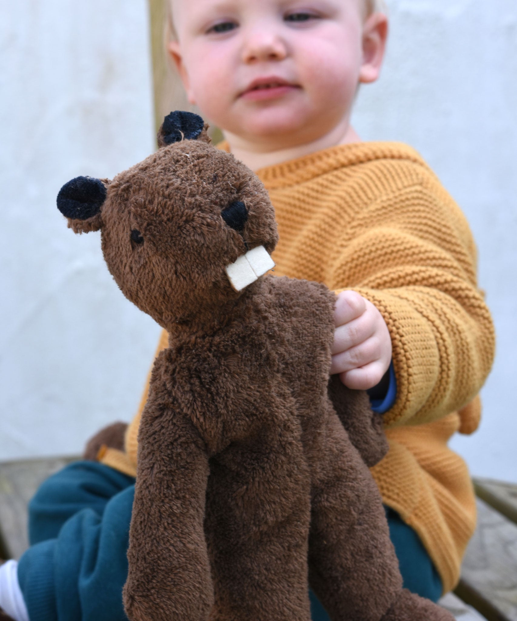 A close up of the Senger small floppy beaver, a child can be seen in the background holding it up.