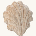 An angled front view of the Senger Large Cuddly Animal Shell.