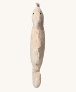 A front on view of the Senger Large Cuddly Seahorse.