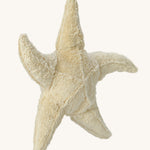 Senger Large Cuddly Starfish soft toy.