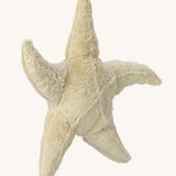Senger Large Cuddly Starfish soft toy.