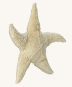 Senger Large Cuddly Starfish soft toy.