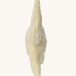 Side profile view of the Senger Large Cuddly Starfish.