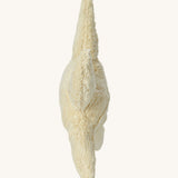 Side profile view of the Senger Large Cuddly Starfish.