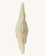 Side profile view of the Senger Large Cuddly Starfish.