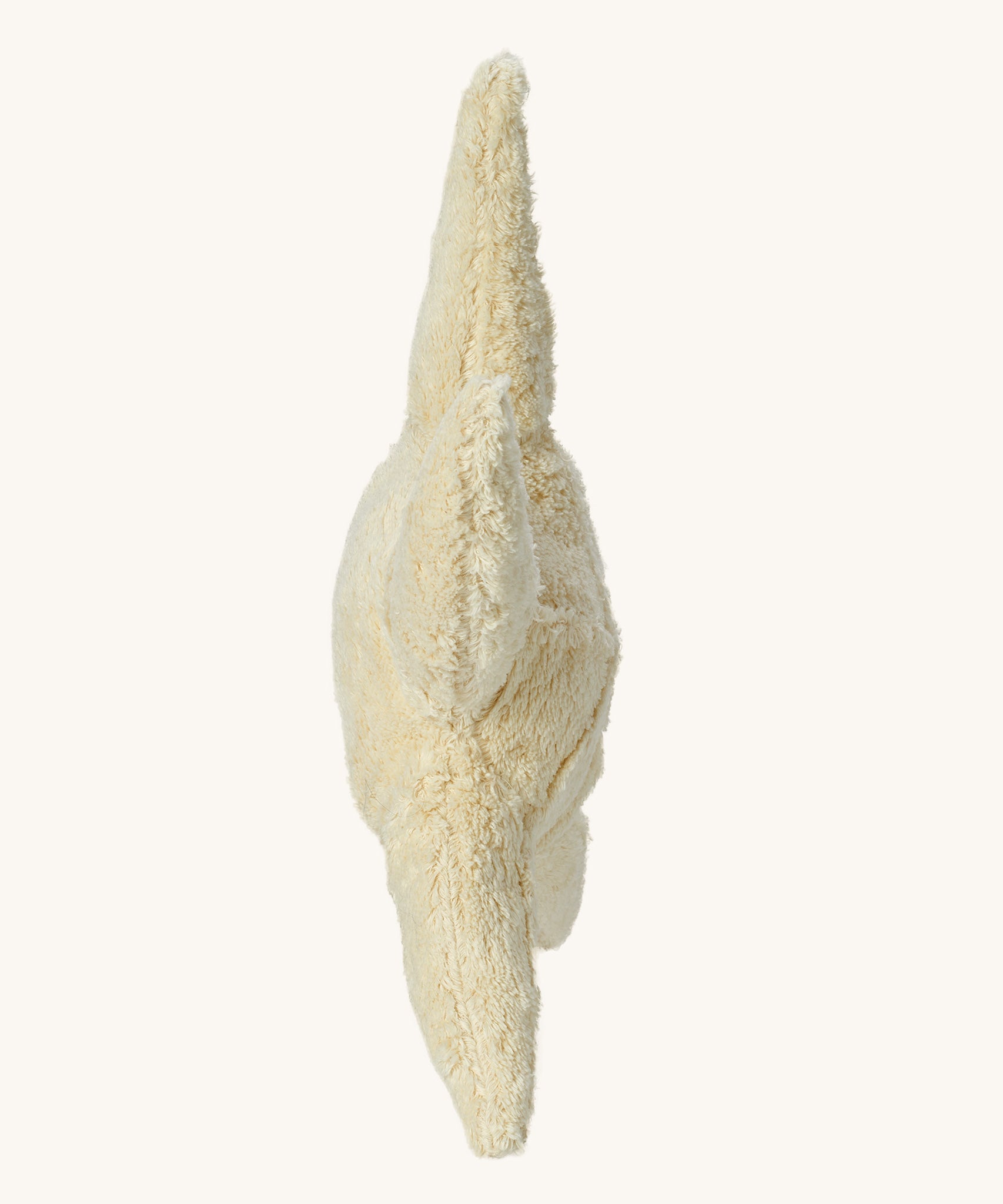 Side profile view of the Senger Large Cuddly Starfish.