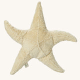 Senger Large Cuddly Starfish soft toy.