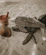 The Senger large organic cotton stuffed dolphin toy, posed on a piece of driftwood on a sandy beach