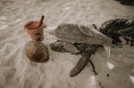 The Senger large organic cotton stuffed dolphin toy, posed on a piece of driftwood on a sandy beach
