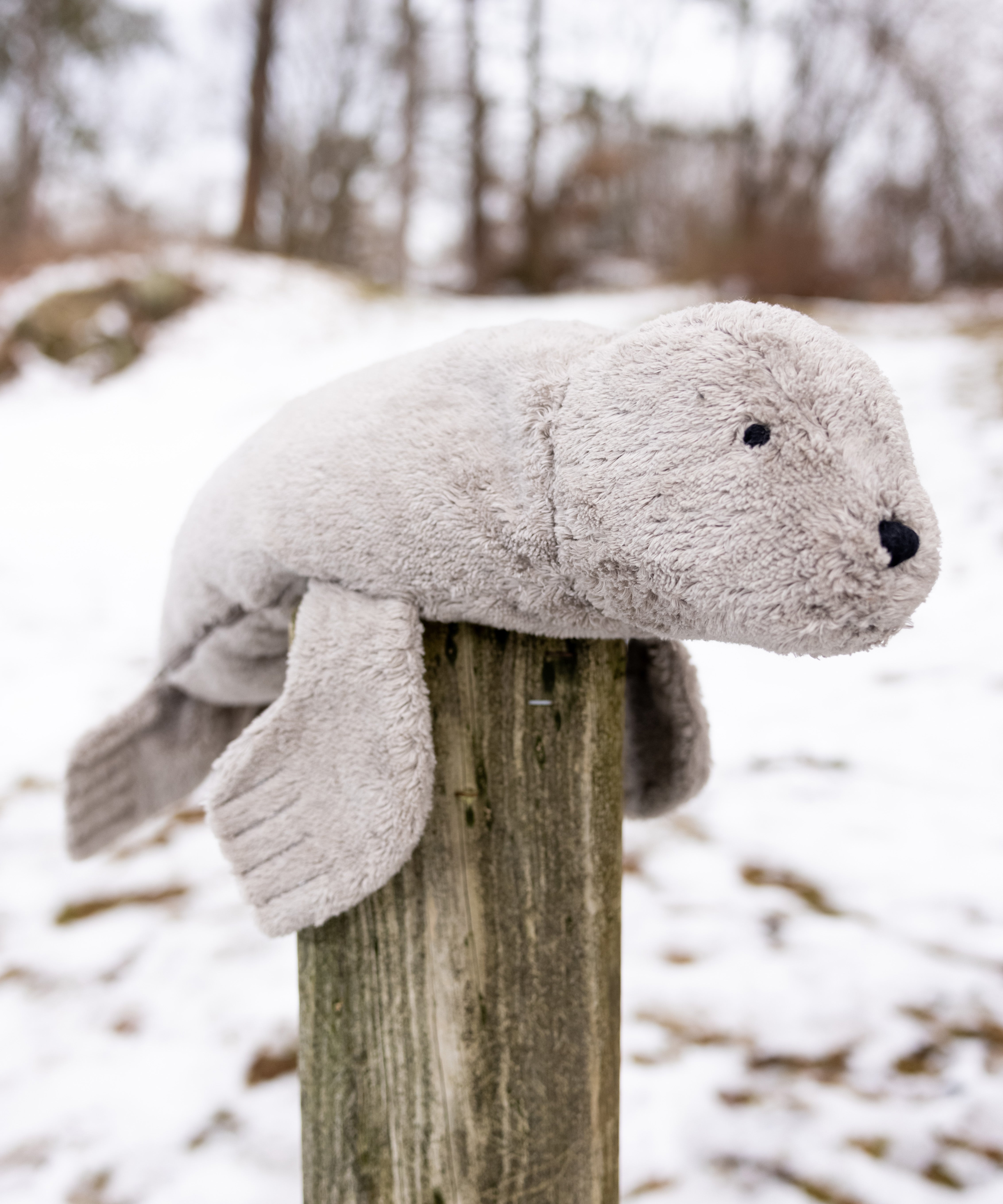 A large Senger seal placed on a wooden post.