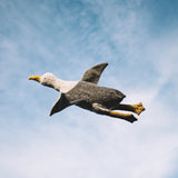 A large Senger soft seagull cuddly toy flying in the air