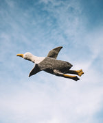 A large Senger soft seagull cuddly toy flying in the air