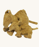 Senger Large and Small Cuddly Camel soft toys.