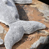 A close up of the Senger large whale's tail.