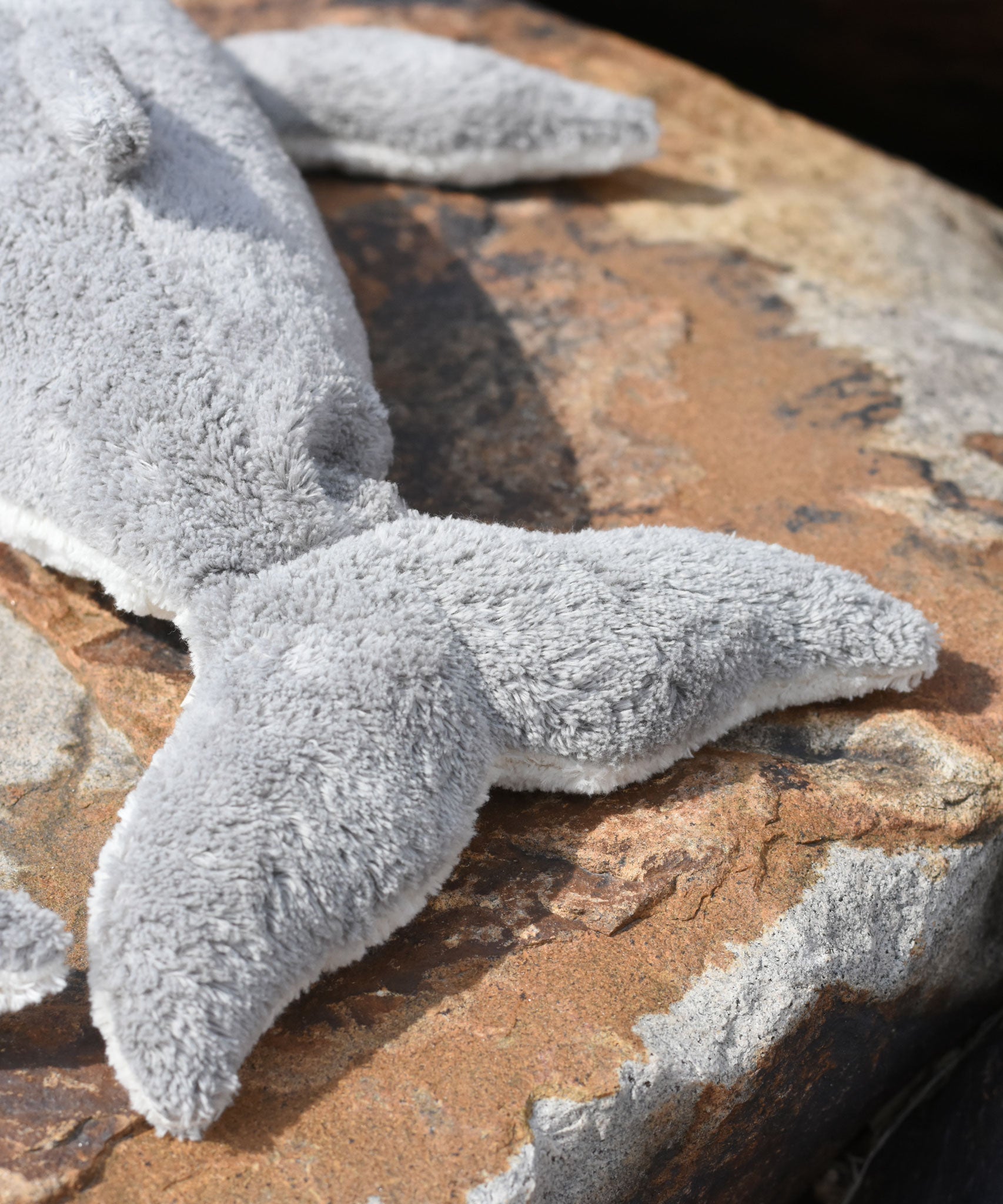 A close up of the Senger large whale's tail.