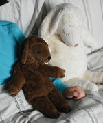 A Senger small brown cuddly sheep soft toy in placed on a child's lap in bed. A large white cuddly sheep can be seen next to the child. These sheep are part of a wide range of soft toys made from organic and natural materials stocked at Babipur. 