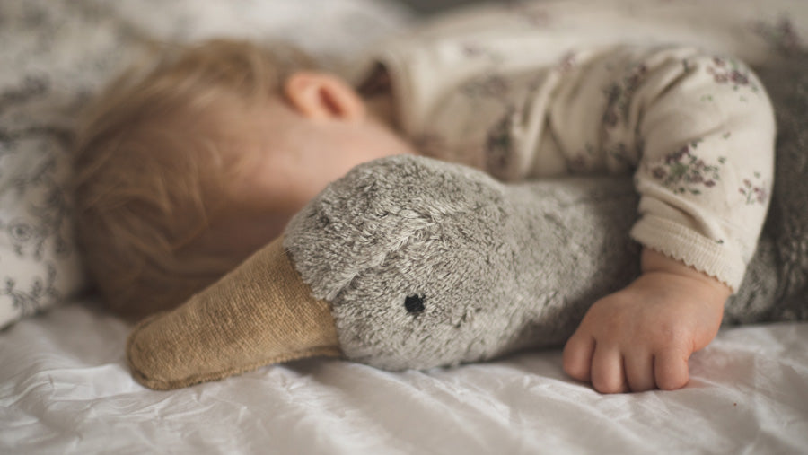 A little baby sleeping with a Senger Naturwelt organic cotton goose stuffed toy.