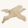  Senger Large Cuddly Goose organic soft toy in a creamy Linen colour. These soft toys are created from the highest quality, sustainable and traceable natural materials. Senger cuddly animal toys and soft dolls are handmade in Germany with love and attention to detail and we are proud Senger stockists here at Babipur. 