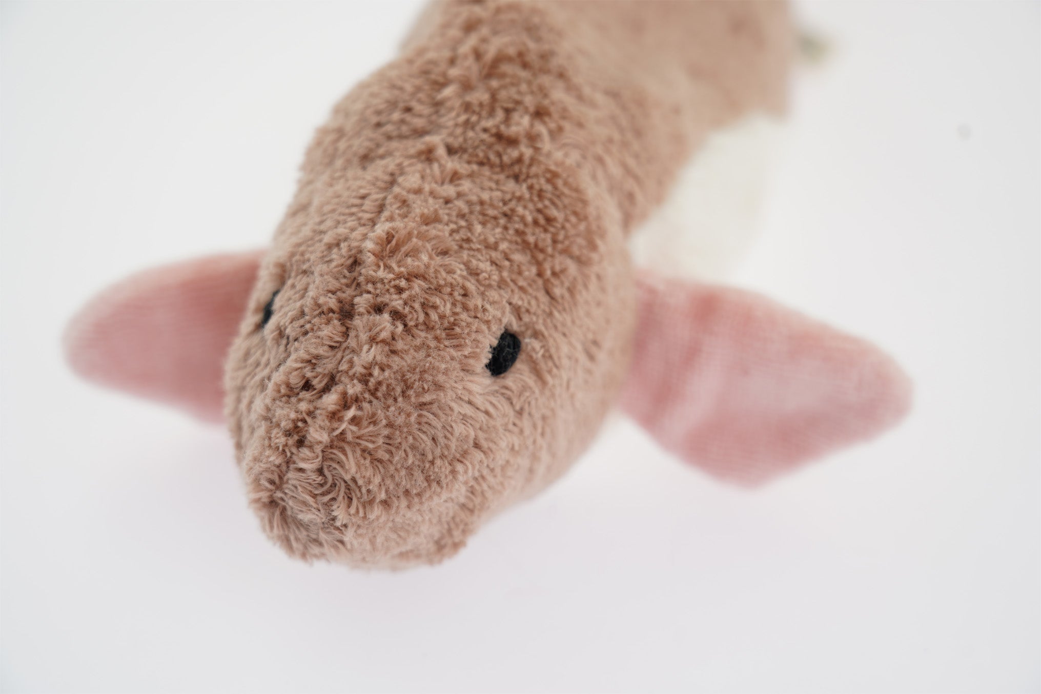 A head-on closeup of the Senger pink fish's cuddly toy face