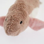 A head-on closeup of the Senger pink fish's cuddly toy face