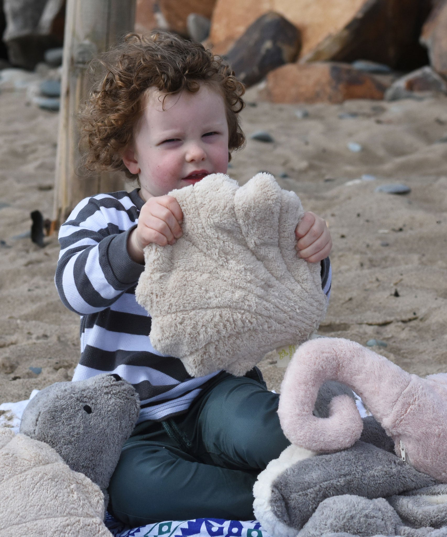 A child holding up a small Senger cuddly shell soft toy in front of them.
