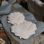 A large and small Senger shell cuddly animal soft toy placed on large rock on the beach.