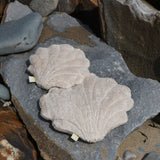 A large and small Senger shell cuddly animal soft toy placed on large rock on the beach.