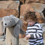 A small Senger grey seal placed on a wooden post on a beach. A child can be seen standing in the background.