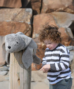 A small Senger grey seal placed on a wooden post on a beach. A child can be seen standing in the background.
