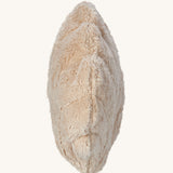 A side view of the Senger Small Cuddly Sea Animal Shell  Organic Soft Toy