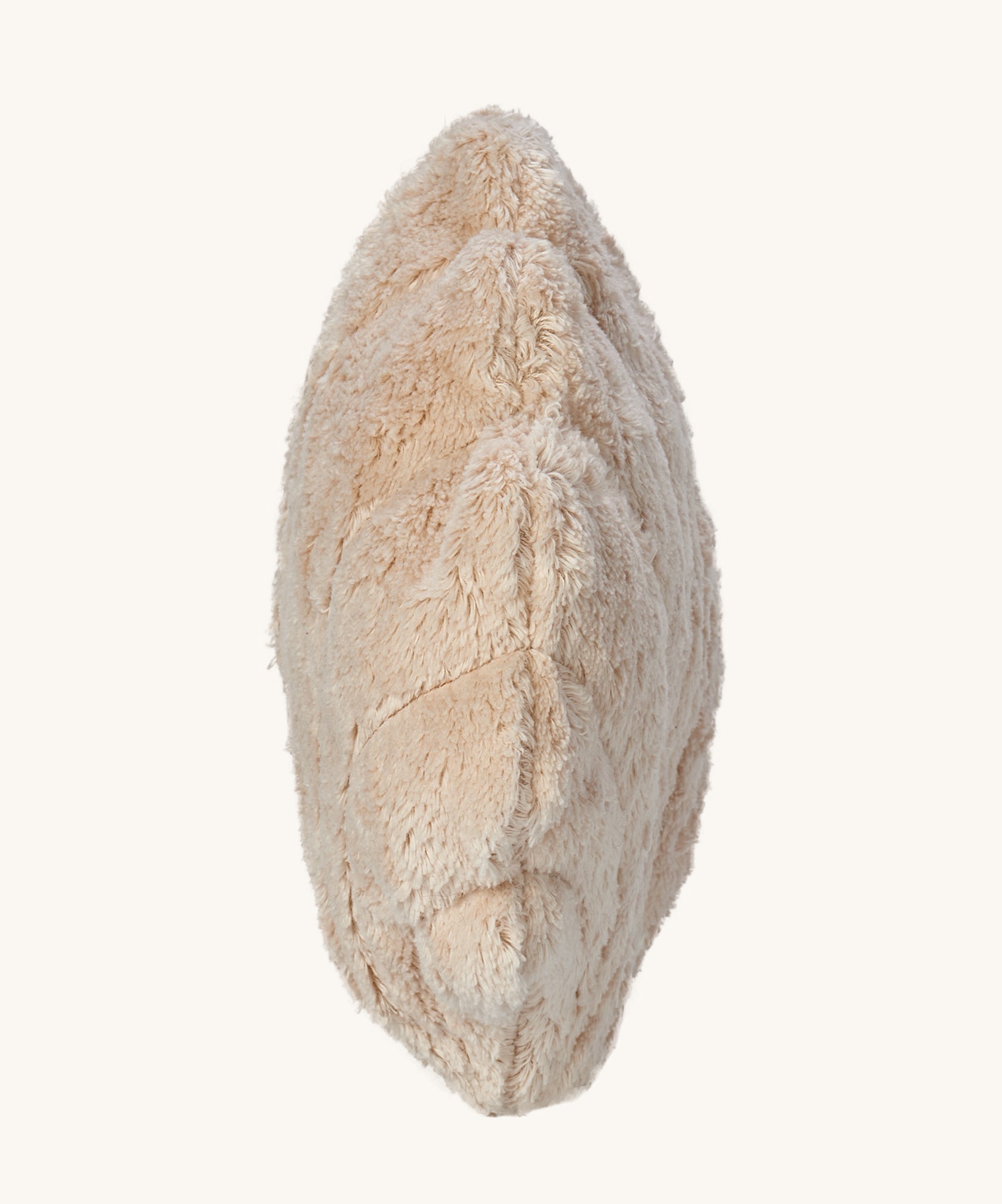 A side view of the Senger Small Cuddly Sea Animal Shell  Organic Soft Toy